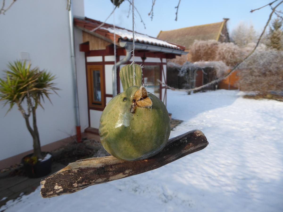 Hotel Garni & Oma'S Heuhotel 'Pension Zur Galerie' Barby エクステリア 写真